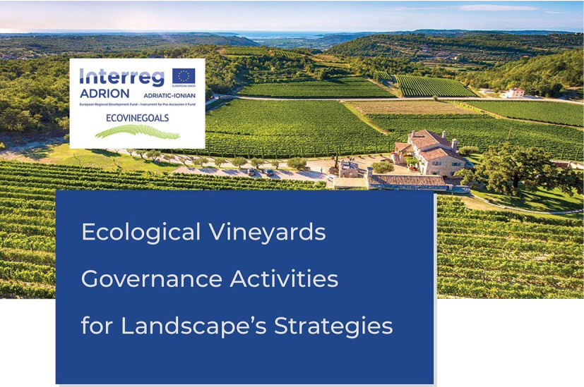 T 1.2.1: Structural analysis of selected areas and vineyard mapping – final version